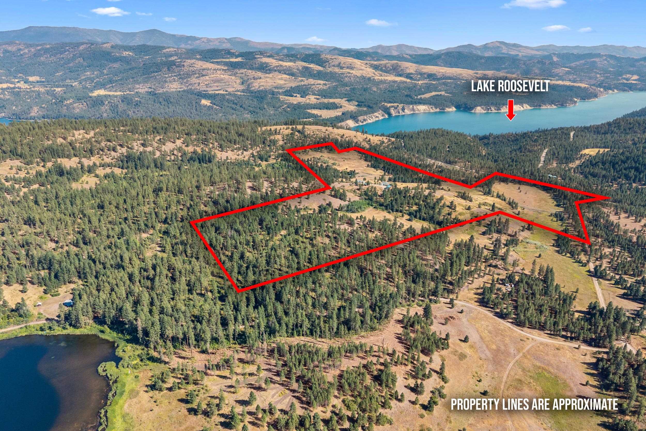 26 Stray Dog Cyn Road Inchelium, WA 99138 - Photo 2 of 50