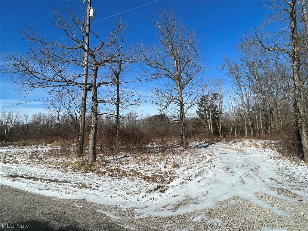 14551 Valentine Road Thompson, OH 44086 - Photo 6 of 6 View of yard layered in snow