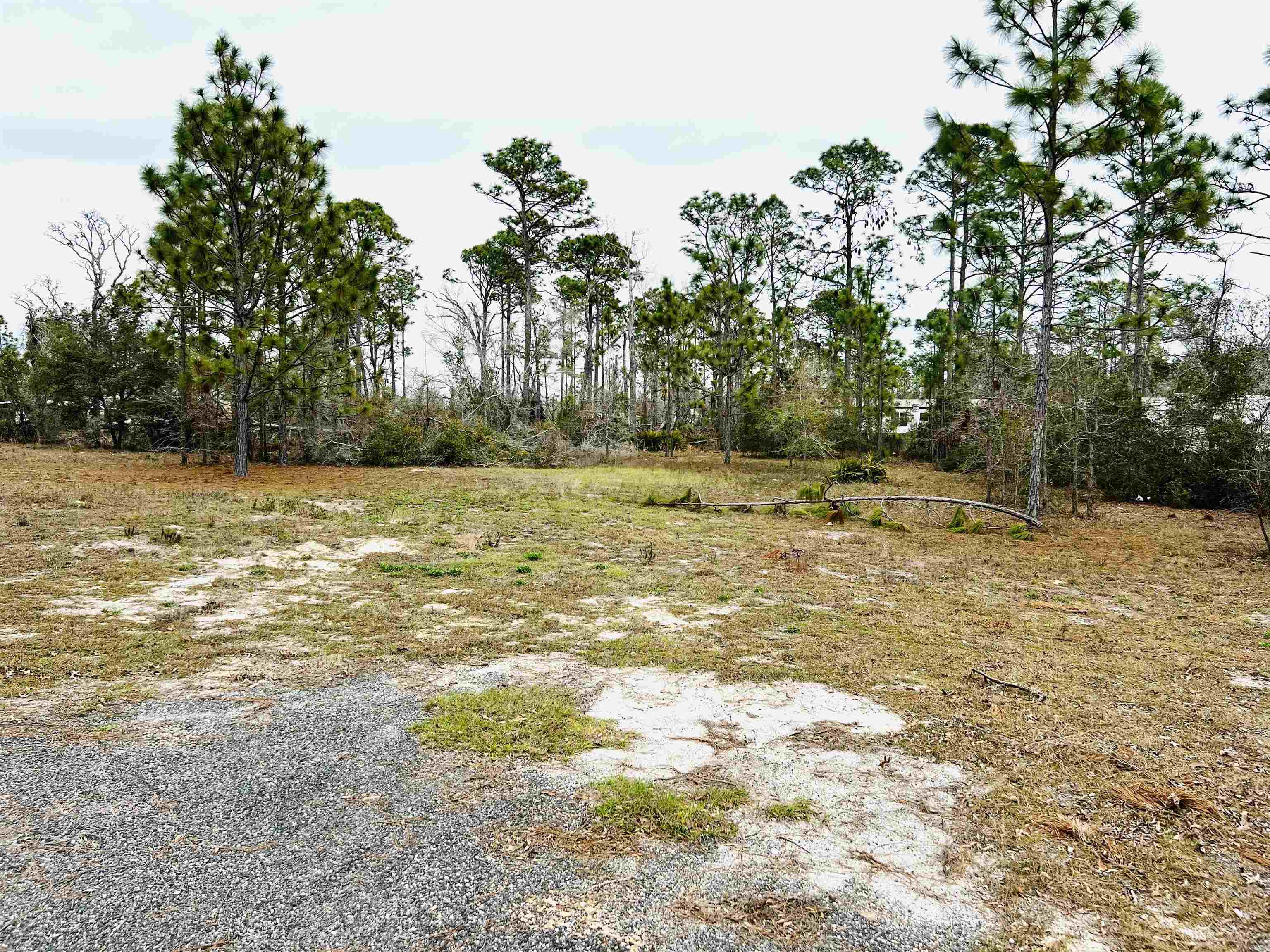 16550 Beach Road Perry, FL 32348 - Photo 6 of 13