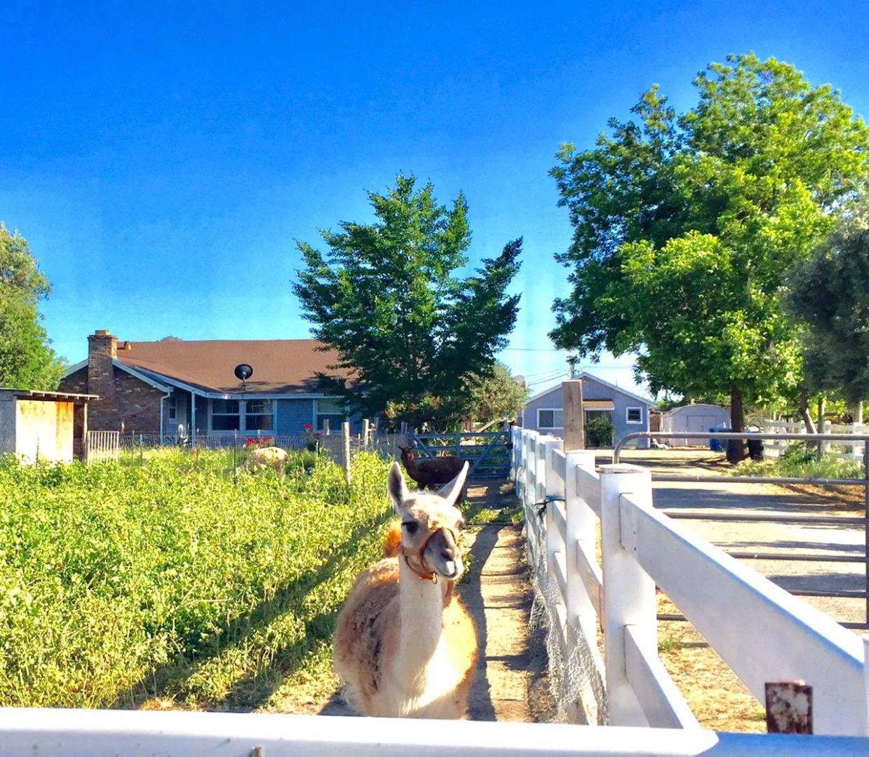 6146 Reddick Road Dixon, CA 95620 - Photo 1 of 53 Gallery Image 1