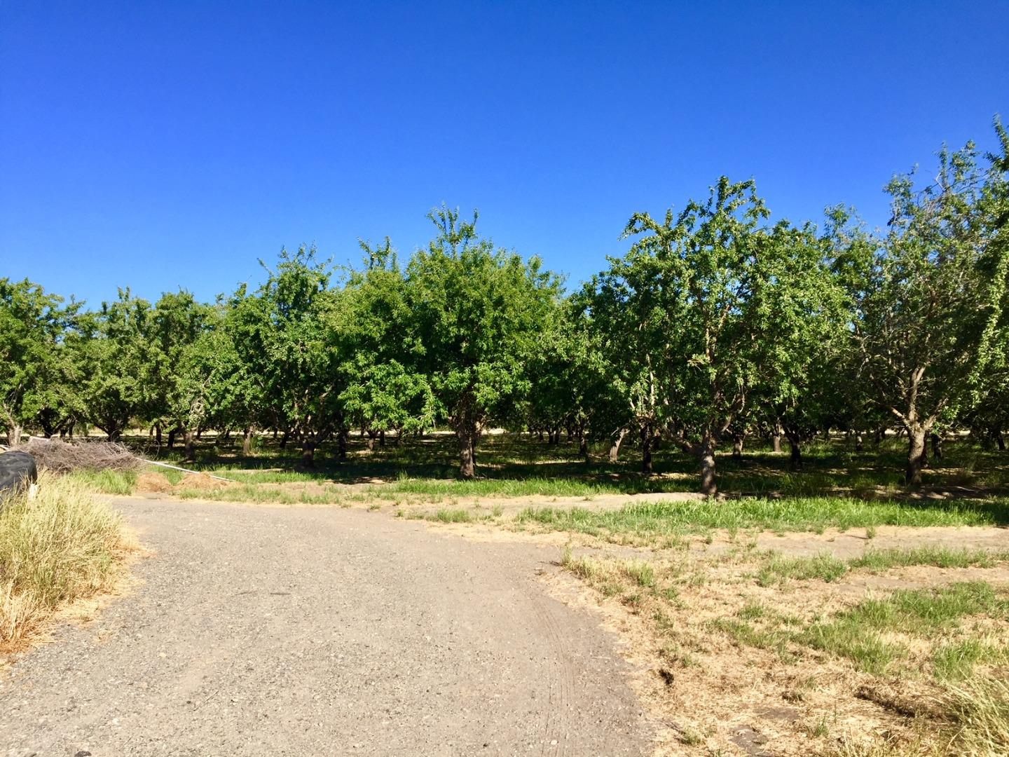 6146 Reddick Road Dixon, CA 95620 - Photo 44 of 53 Gallery Image 44