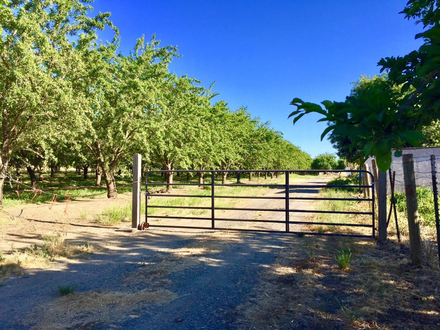 6146 Reddick Road Dixon, CA 95620 - Photo 48 of 53 Gallery Image 48