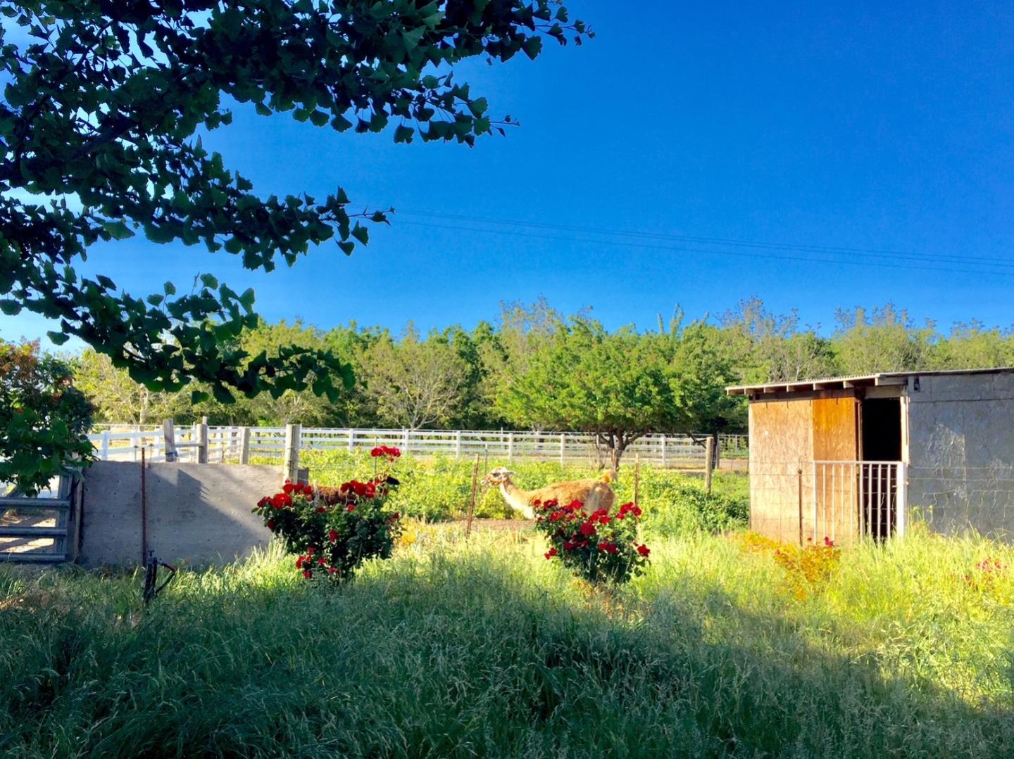 6146 Reddick Road Dixon, CA 95620 - Photo 5 of 53 Gallery Image 5