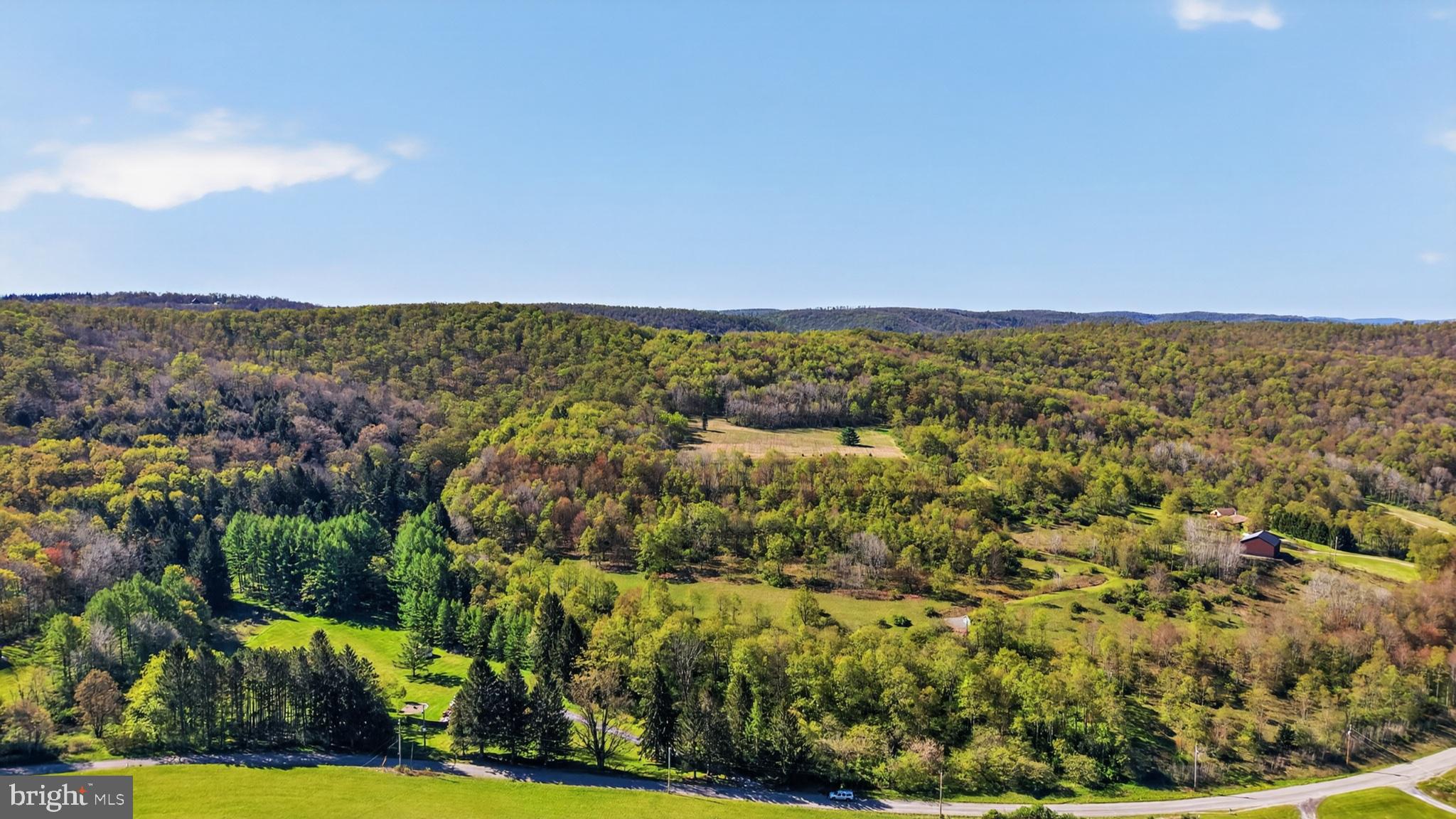 259 A A-Frame Road Coudersport, PA 16915 - Photo 74 of 130 Serene hills embrace nature's beauty.