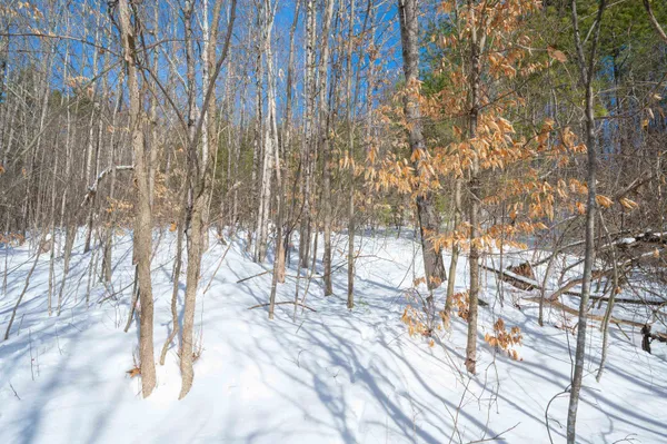 $136,000 | 0 Quechee Main Street, Quechee, VT 05059