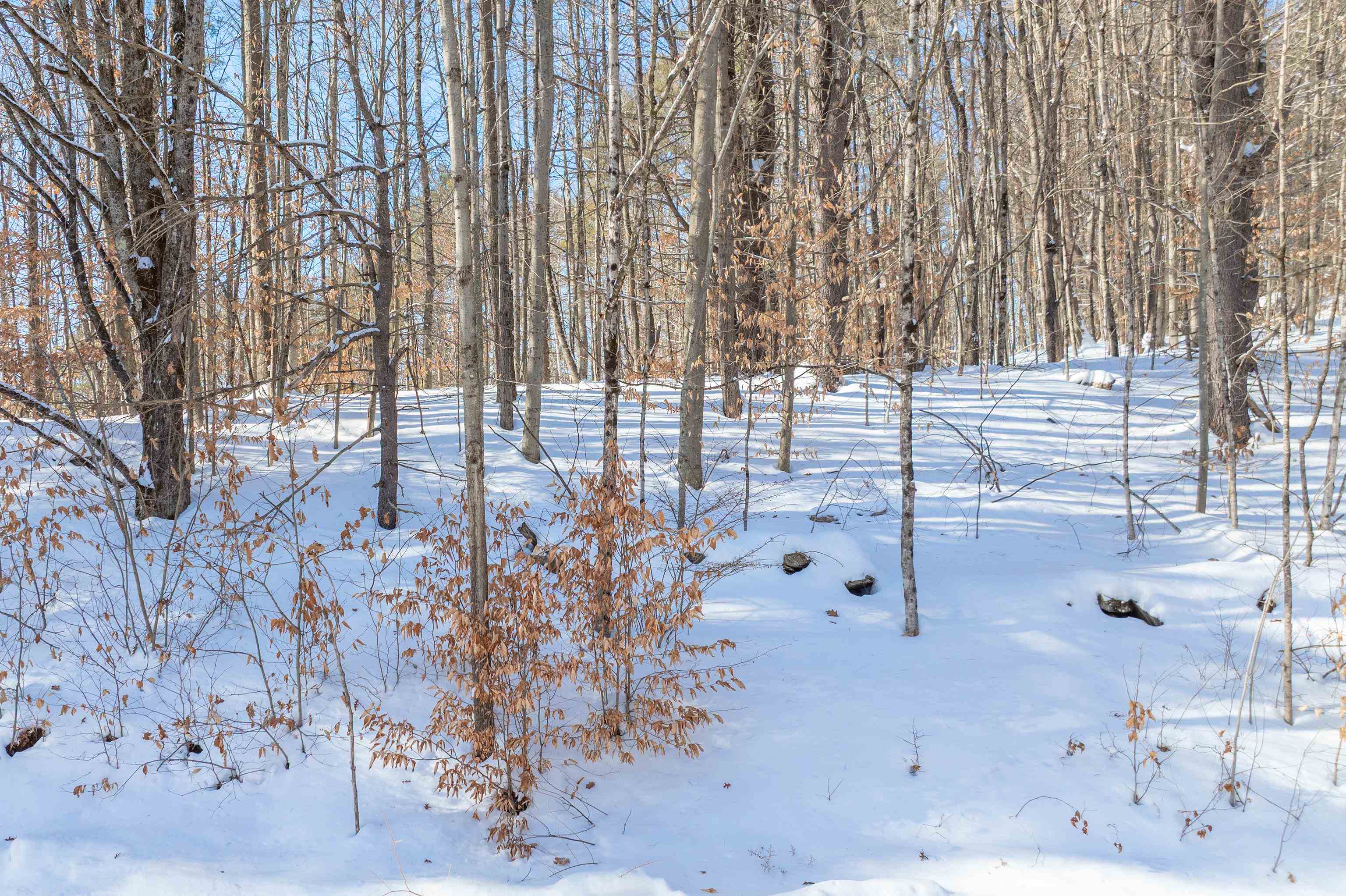 0 Quechee Main Street Quechee, VT 05059 - Photo 14 of 23