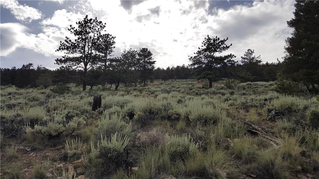 Lot 489 Red Hill Fairplay, CO 80440 - Photo 3 of 6 Gallery Image 3
