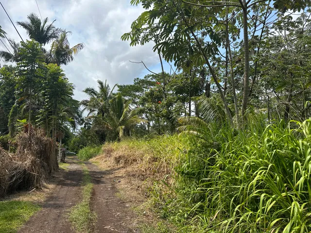 a backyard of a house with lots of green space