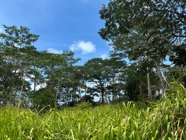 $53,000 | 5 Tiki Road, Pahoa, HI 96778