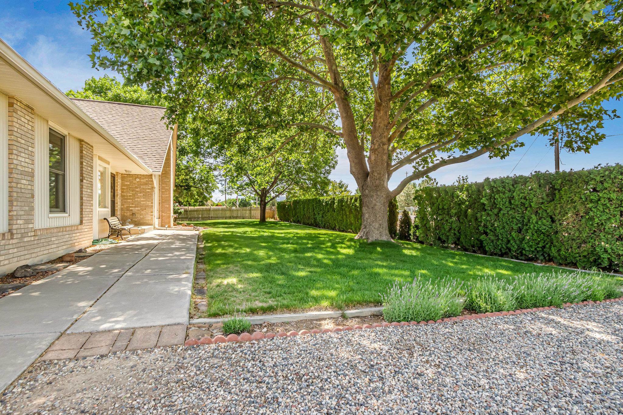 2648 H Road Grand Junction, CO 81506 - Photo 10 of 27 a view of a yard with plants and large trees