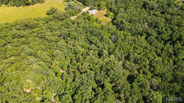 $578,400 | 38925 Stonepiler Avenue, Edwards, MO 65326