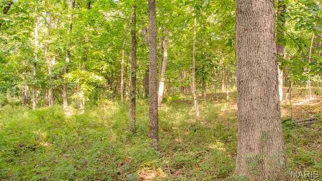 $578,400 | 38925 Stonepiler Avenue, Edwards, MO 65326