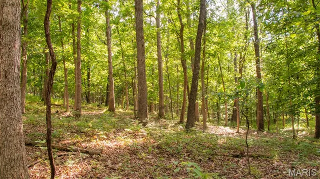 $578,400 | 38925 Stonepiler Avenue, Edwards, MO 65326