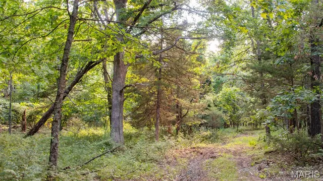 $578,400 | 38925 Stonepiler Avenue, Edwards, MO 65326