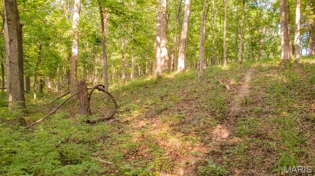 $578,400 | 38925 Stonepiler Avenue, Edwards, MO 65326