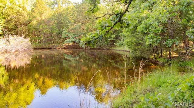 $578,400 | 38925 Stonepiler Avenue, Edwards, MO 65326