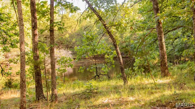 $578,400 | 38925 Stonepiler Avenue, Edwards, MO 65326