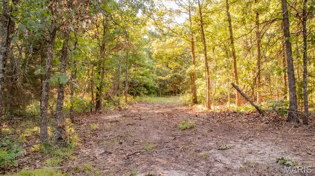 $578,400 | 38925 Stonepiler Avenue, Edwards, MO 65326