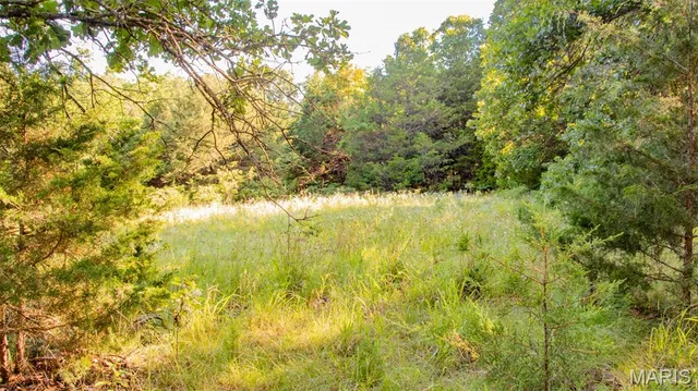 $578,400 | 38925 Stonepiler Avenue, Edwards, MO 65326