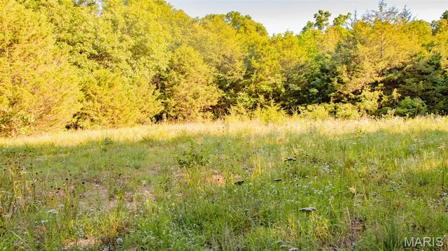 $578,400 | 38925 Stonepiler Avenue, Edwards, MO 65326