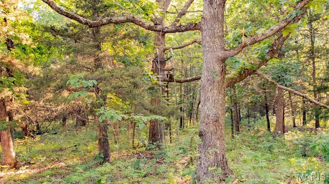 $578,400 | 38925 Stonepiler Avenue, Edwards, MO 65326