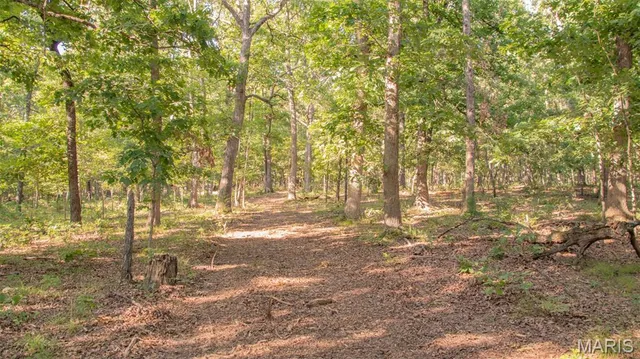 $578,400 | 38925 Stonepiler Avenue, Edwards, MO 65326