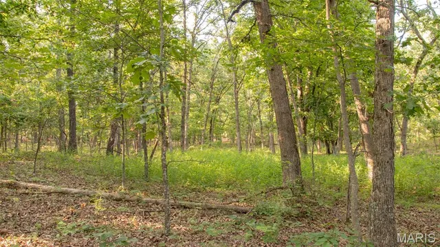 $578,400 | 38925 Stonepiler Avenue, Edwards, MO 65326