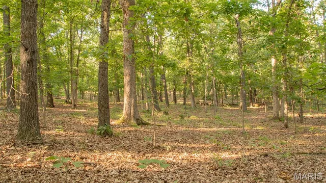 $578,400 | 38925 Stonepiler Avenue, Edwards, MO 65326