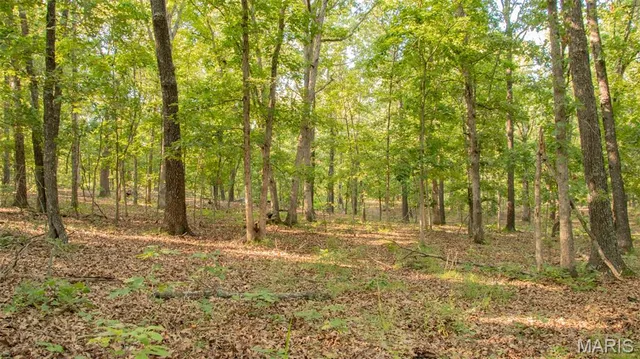 $578,400 | 38925 Stonepiler Avenue, Edwards, MO 65326