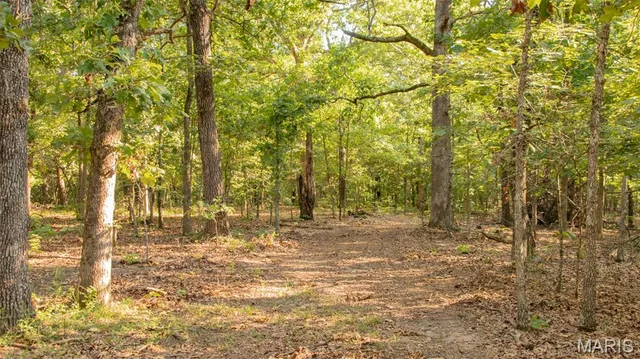 $578,400 | 38925 Stonepiler Avenue, Edwards, MO 65326