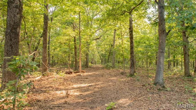 $578,400 | 38925 Stonepiler Avenue, Edwards, MO 65326