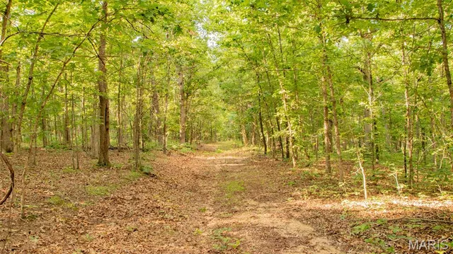 $578,400 | 38925 Stonepiler Avenue, Edwards, MO 65326