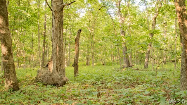 $578,400 | 38925 Stonepiler Avenue, Edwards, MO 65326