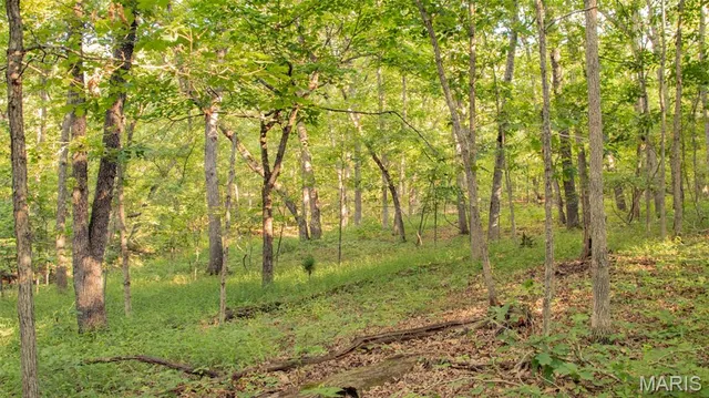 $578,400 | 38925 Stonepiler Avenue, Edwards, MO 65326