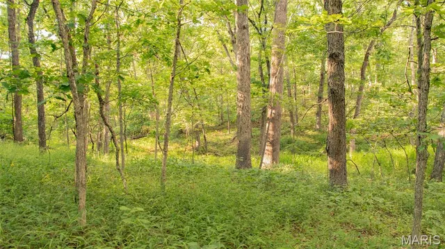 $578,400 | 38925 Stonepiler Avenue, Edwards, MO 65326