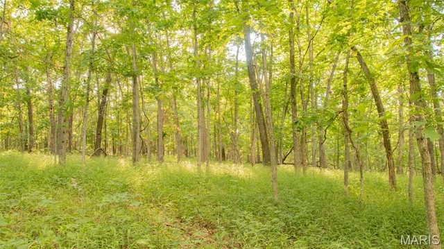 $578,400 | 38925 Stonepiler Avenue, Edwards, MO 65326