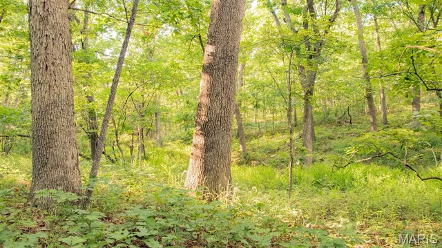 $578,400 | 38925 Stonepiler Avenue, Edwards, MO 65326