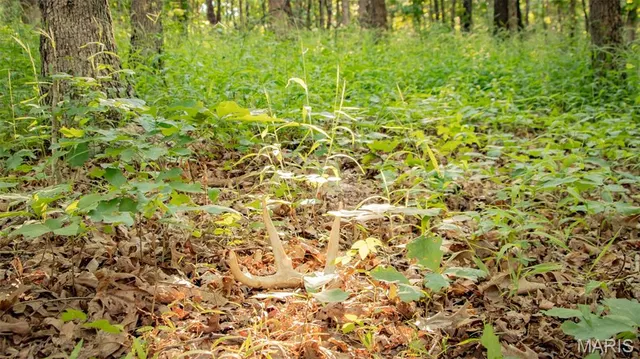 $578,400 | 38925 Stonepiler Avenue, Edwards, MO 65326