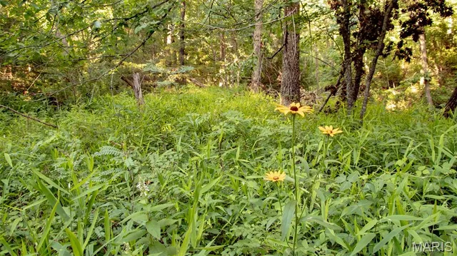 $578,400 | 38925 Stonepiler Avenue, Edwards, MO 65326