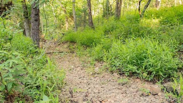 $578,400 | 38925 Stonepiler Avenue, Edwards, MO 65326