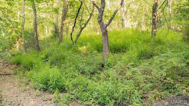 $578,400 | 38925 Stonepiler Avenue, Edwards, MO 65326