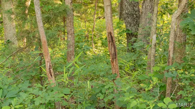 $578,400 | 38925 Stonepiler Avenue, Edwards, MO 65326