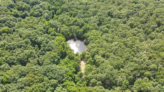 $578,400 | 38925 Stonepiler Avenue, Edwards, MO 65326