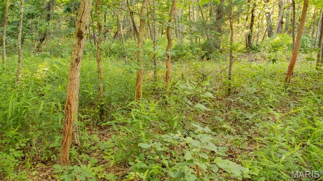 $578,400 | 38925 Stonepiler Avenue, Edwards, MO 65326