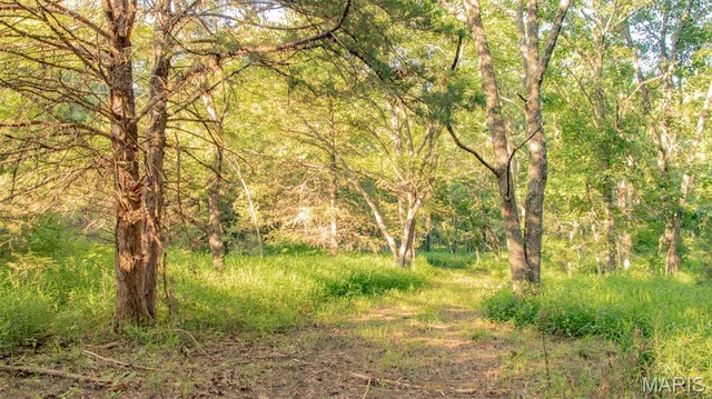 $578,400 | 38925 Stonepiler Avenue, Edwards, MO 65326