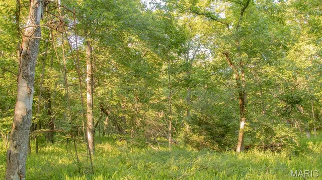 $578,400 | 38925 Stonepiler Avenue, Edwards, MO 65326