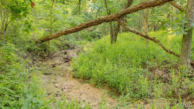 $578,400 | 38925 Stonepiler Avenue, Edwards, MO 65326