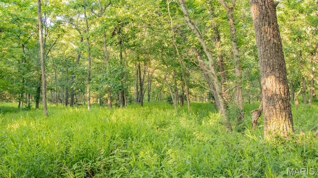 $578,400 | 38925 Stonepiler Avenue, Edwards, MO 65326