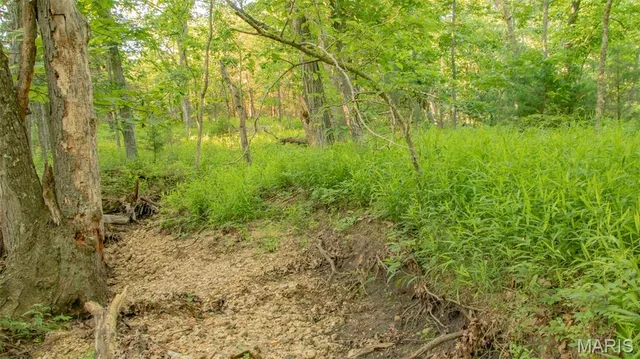 $578,400 | 38925 Stonepiler Avenue, Edwards, MO 65326