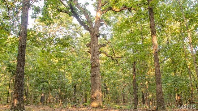 $578,400 | 38925 Stonepiler Avenue, Edwards, MO 65326